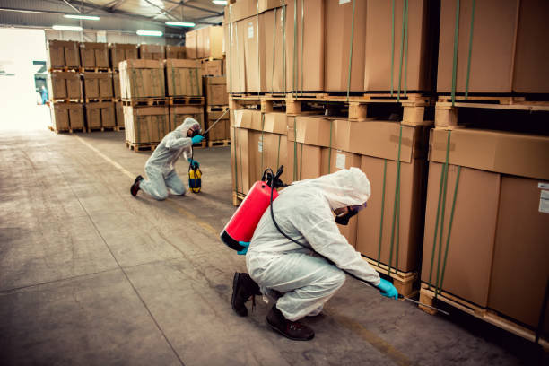Best Bed Bug Extermination  in West Hempstead, NY